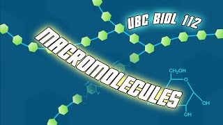 Introduction to Macromolecules updated  Biol 112 at UBC [upl. by Regazzi323]