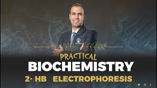 Hb Electrophoresis I Practical Biochemistry I Haeme Module 2024 [upl. by Weikert]