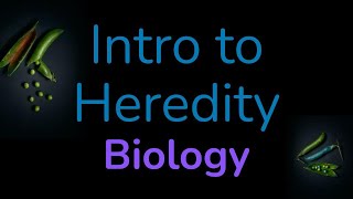 Intro to Genetics amp Heredity  Biology Living Environment [upl. by Ahseinat]