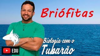 Briófitas  Botânica  Biologia com o Tubarão [upl. by Adniroc521]