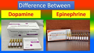 Difference Between Dopamine and Epinephrine [upl. by Darrell]