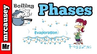 Phases of Matter and the Phase Changes [upl. by Eiramik461]