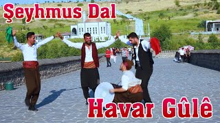 Havar Güle Halay Govend Cida  Şeyhmus Dal  Official Video [upl. by Fari196]