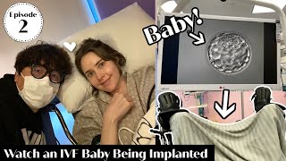 IVF Egg Retrieval amp Embryo Transfer  Our Fertility Journey Episode 2 [upl. by Gunnar865]