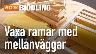 Vaxa ramar med vaxmellanväggar  Biredskap  Biodling [upl. by Lanctot687]