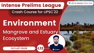 Environment  L13  mangrove and estuary ecosystem  Anirudh Malik  Lets Crack UPSC CSE [upl. by Yole]