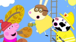 Peppa Pig Full Episodes Naughty Tortoise 🐢 Finding Tiddles the Tortoise with Peppa Pig [upl. by Nomde]