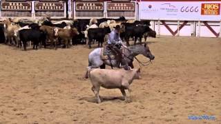 2015 NCHA Futurity Open Champions Stevie Rey Von and Ed Dufurrena [upl. by Notlimah]