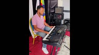 YENETEFEW SHELEKO duet instrumentalmusic music [upl. by Oiramd]