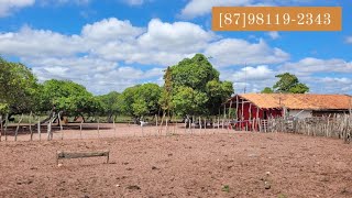 FAZENDA A VENDA DE PORTEIRA FECHADA COM AGUA MINERAL INAJA PERNAMBUCO 17012024 [upl. by Immak]