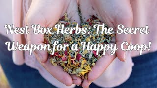 Transform Your Nest Box with Vibrant Herbs [upl. by Groome350]