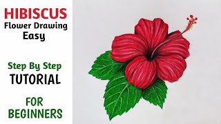 How To Draw Hibiscus Flower Easy  Step By Step  Pencil Colour Drawing [upl. by Filippo]