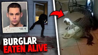 This Burglar Was EATEN ALIVE While Running From POLICE [upl. by Mount466]