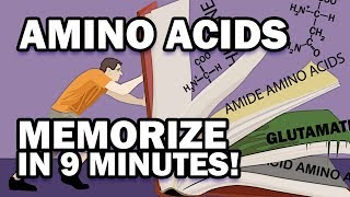 Memorize the 20 Amino Acids in 9 Minutes [upl. by Nerrawed]