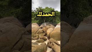 Islamic motivationmotivation tips MalayalamIslamic informationislamicinspiration viral shots [upl. by Eltrym]