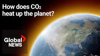 CO2 How an essential greenhouse gas is heating up the planet [upl. by Orimisac]