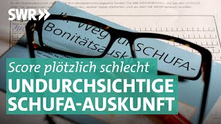 SchufaScore Woher kommt die schlechte Bonität  Marktcheck SWR [upl. by Donahoe950]