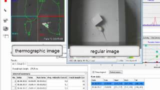 Video tracking an animal with thermographic camera [upl. by Ellerad128]