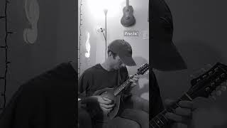 and practicin mandolin learn instrumental acoustic folk traditional music bluegrass love [upl. by Jard918]