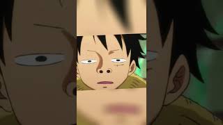 one piece family onepiece anime shorts [upl. by Northrop]