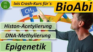 Epigenetik  HistonAcetylierung und DNAMethylierung detailliert und mit Anwendungsaufgabe BioAbi [upl. by Oliva]