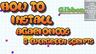 EPIC MODDED AGARIO LEVEL AGARIO FUNNY MOMENTS [upl. by Rosalba]