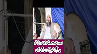 Molana Abdul Hannan Siddqiui Short Clip 2024  New Emotional Short Clip 2024  Islamic Pro [upl. by Nairot]