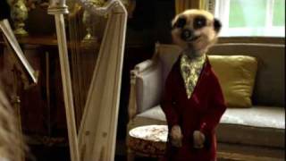 Official Interview with The Sun starring Aleksandr Orlov Founder of Compare the Meerkat [upl. by Ardnekahs169]