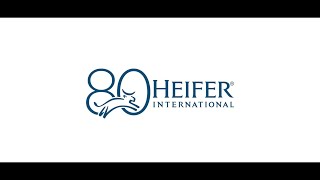 Heifer Internationals 80th Anniversary Video [upl. by Darnall]