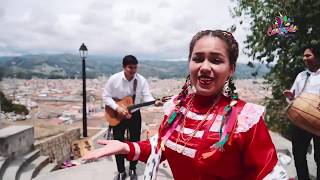 Canción y vídeo oficial del carnaval de Cajamarca 2019 [upl. by Yrogerg901]