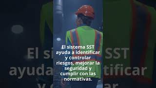 🔨🦺El Sistema de Gestión de Seguridad y Salud en el Trabajo SGSST🔨🦺 [upl. by Woodie]