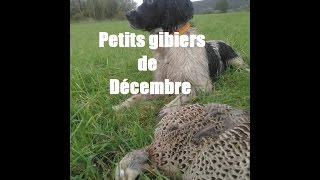 Petits gibiers de décembre [upl. by Eliak]