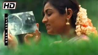 Raasavae Unnai kanatha nenju  Female Version   P Susheela Love Melodies  Vaidehi Kathirunthal [upl. by Nosreve]