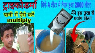 How to multiply TRICHODERMA ट्राइकोडर्मा को पानी में मल्टिप्लाय करने की विधिHow to use Trichoderma [upl. by Priscella]