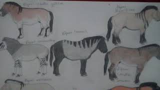 Prehistoric horses genus equus [upl. by Volnay]