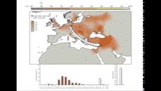 Ancient DNA Reveals Key Stages in the Formation of Central European Mitochondrial Genetic Diversity [upl. by Bergwall566]