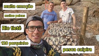 pescaria de inverno rendeu muito pescaria shortsviral shortvideo [upl. by Gerianne731]