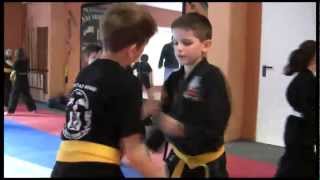 Kindertraining Kempo Karate [upl. by Seiden752]