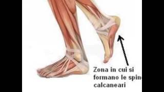 LOsteopatia Biodinamica per lo sperone calcaneare [upl. by Matthus]