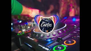 Mix Perreo Intenso 2023  DJ CARLOS [upl. by Araik]