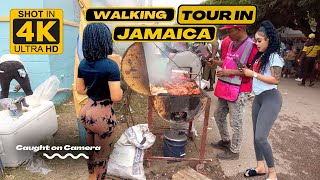 ✔️Walking Tour DENBIGH AGRICULTURAL SHOW 2023 Largest Agricultural Expositions In The Caribbean 4K [upl. by Vasquez873]