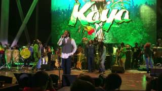 quotKayaquot  the Bob Marley Brothers Kaya Fest 2017  Ziggy Stephen Damian Julian Kymani [upl. by Oirazan]