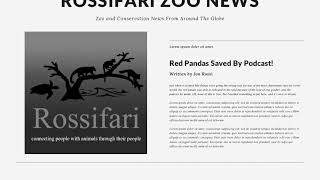 Rossifari Zoo News 83024  The Rescue a Sea Turtle Rescue Edition [upl. by Naryt]