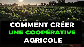 COMMENT CRÉER UNE COOPÉRATIVE AGRICOLE [upl. by Strickland]