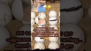 സത്യമല്ലേ ഇത് funny funny funny [upl. by Stolzer]