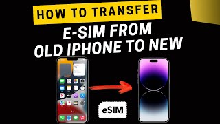 How to transfer esim from one iphone to another I Complete process in hindi [upl. by Hafeetal]