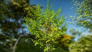 Learn How to Get the Best HighQuality Trees in Lumion [upl. by Laerdna]