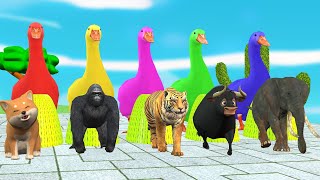 5 Giant Duck bear Elephant Ferdinand Gorilla tiger hen Transfiguration funny animal 2024 part [upl. by Katushka]