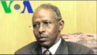 VOA interview with Yeman Gebreab Presidential Adviser Eritrea [upl. by Attenov]