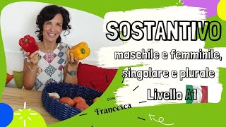 SOSTANTIVI  NOMI REGOLARI E POCHE ECCEZIONI IN ITALIANO maschile e femminile singolare e plurale [upl. by Inva]